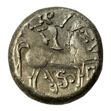 Kelta tetradrachma, Zichyújfalusi típus