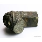 Antik női fej, feltehetően székkarfa dísz