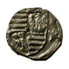 Zsigmond madárkás parvus RR