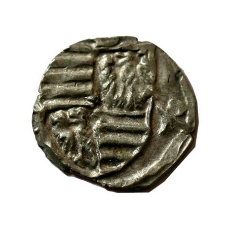 Zsigmond madárkás parvus RR