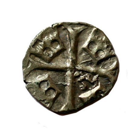 Zsigmond madárkás parvus RR