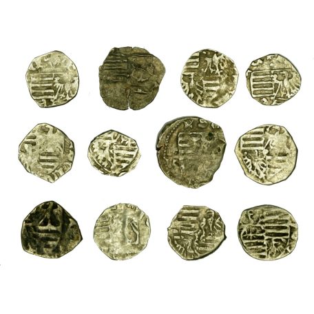 Luxemburgi Zsigmond parvus gyűjtemény