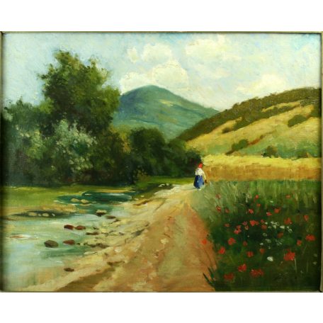 Zorkóczy: Pipacsos réten