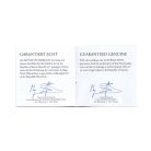 Ausztria 20 Euro 2019 PP holdraszállás