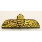 Magyar Honvédség Végzettséget kifejező általános jelvény 1990