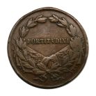 IV. Károly Bronz Vitézségi Érem 1917