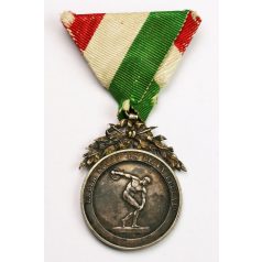   Temesvári Kerületi Ifjúsági Tornaverseny ezüst emlékérem 1907
