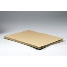 Hugo von Saurma-Jeltsch: Sziléziai érmék és érmek 1883