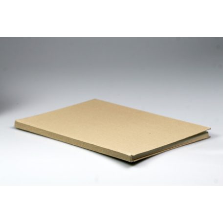 Hugo von Saurma-Jeltsch: Sziléziai érmék és érmek 1883