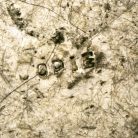 Szécsényi Országgyűlés emlékérem MÁSOLAT