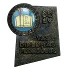 Vas Diplomás Pedagógus jelvény 65 év