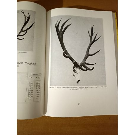 Szidnai László Trófeák kikészítése és bírálata