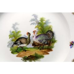 Antik pulykás festett porcelán tányér Meissen 19. sz
