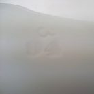 Antik pulykás festett porcelán tányér Meissen 19. sz