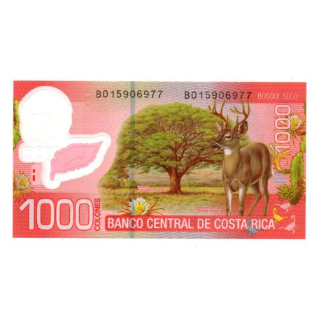 Costa Rica 1000 Colon Bankjegy 2013 P274b UNC