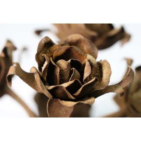 Régi antik kovácsoltvas rózsás kapudísz 