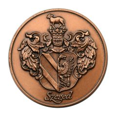 Szegedi Városháza bronz emlékérem 