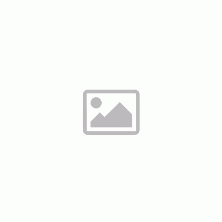 100 Forint Bankjegy 1989 aEF